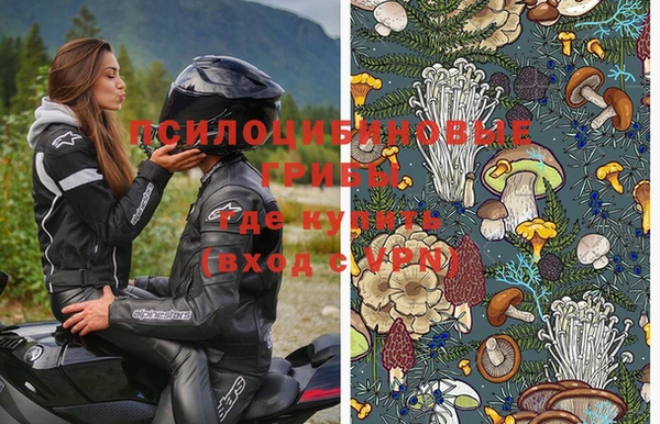 альфа пвп Медногорск