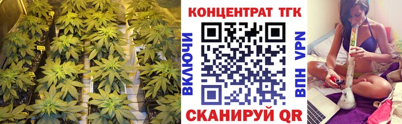 OMG вход  как найти закладки  Тогучин  маркетплейс наркотические препараты  Дистиллят ТГК вейп с тгк 