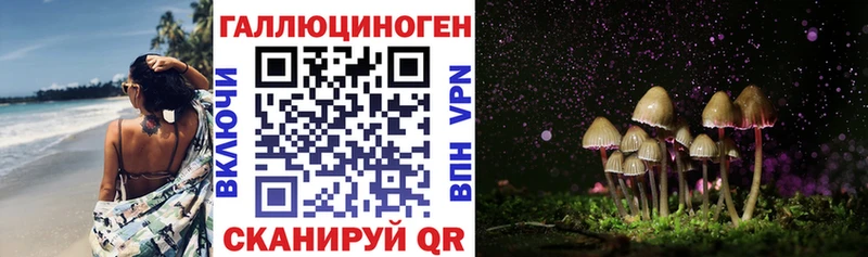 Галлюциногенные грибы мицелий  хочу   Тогучин 